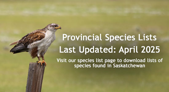 View Species Lists