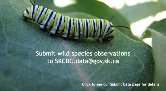 Submit data to SKCDC.data@gov.sk.ca